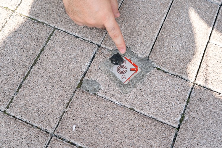 s-kawasaki100_240016