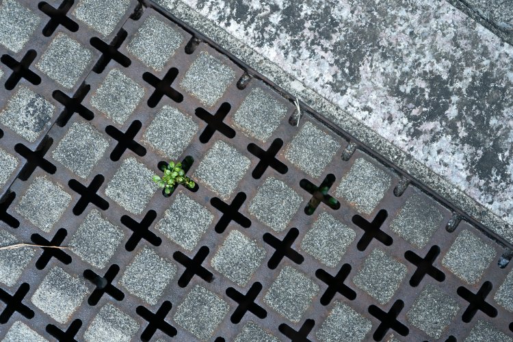 s-kawasaki100_240142