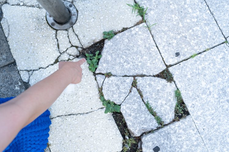 s-kawasaki100_240161