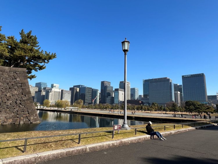 皇居外苑は法務省から内堀を挟んですぐの場所にある。戦前・戦後を通じて嘉子はここを憩い場として利用してきた。