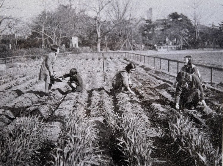 戦時中の日比谷公園。食料増産のため、園内の花壇は芋畑に転用されていた（日比谷公園内のレリーフより）。