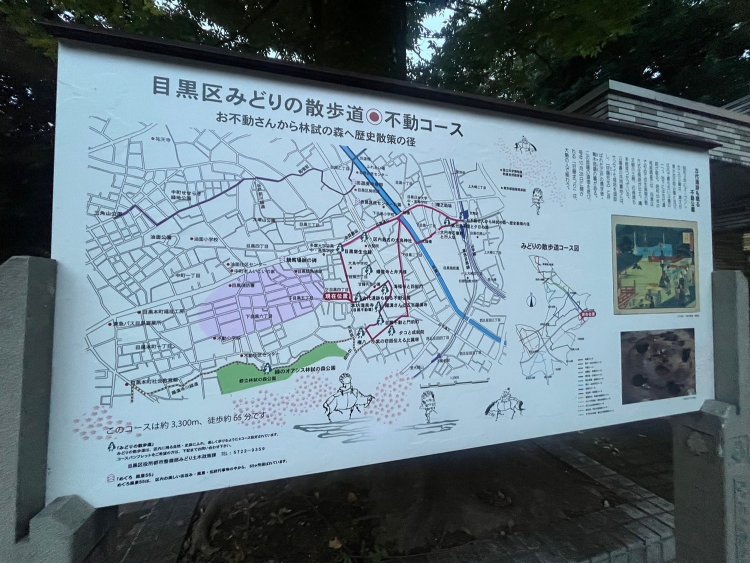 たどりついたみどりの散歩道「不動コース」。