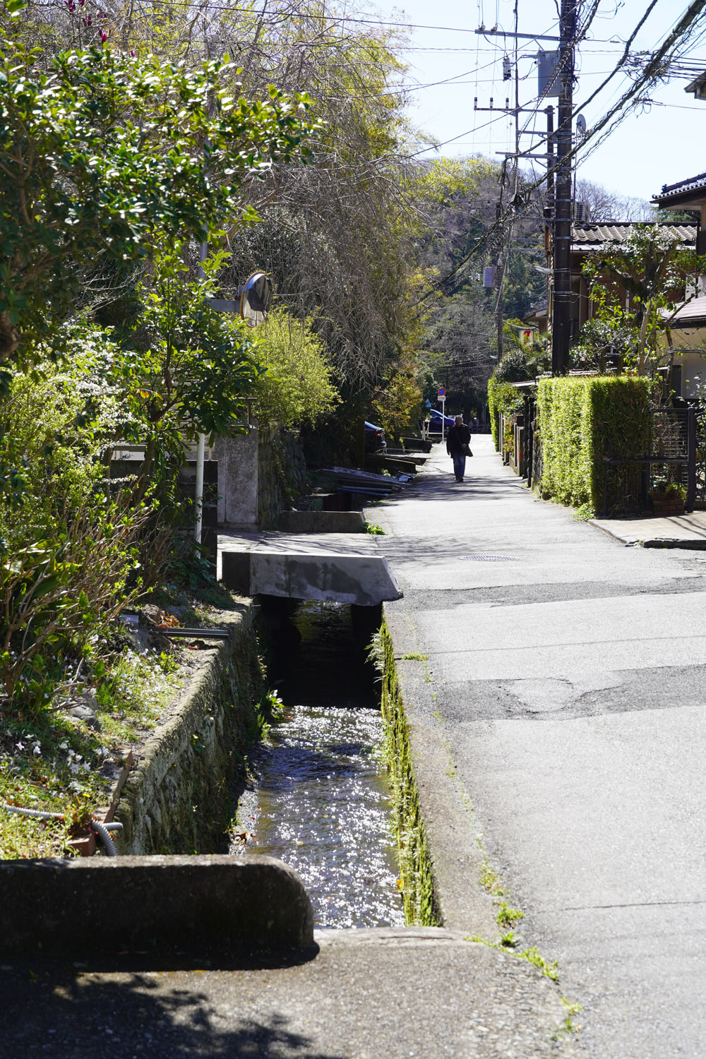 覚園寺から鎌倉宮への道