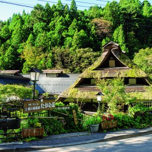 東京にこんな秘湯宿があるなんて！　檜原村の『たから荘』でいただく山の幸と十割そば