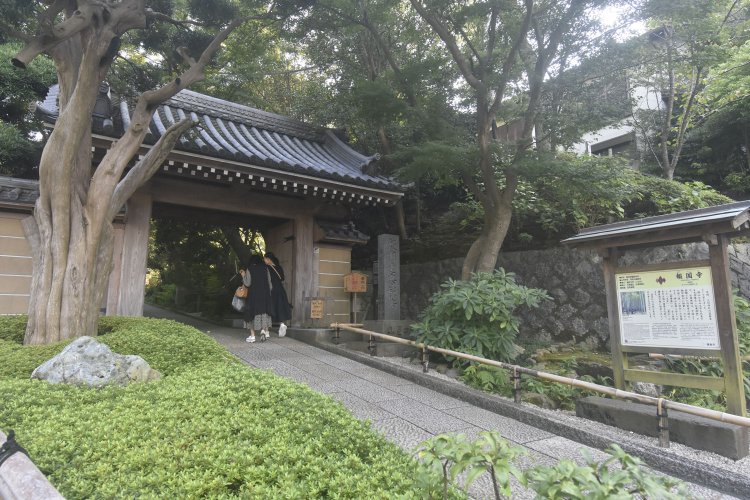 竹の庭で知られる報国寺。抹茶がいただける茶店もある。