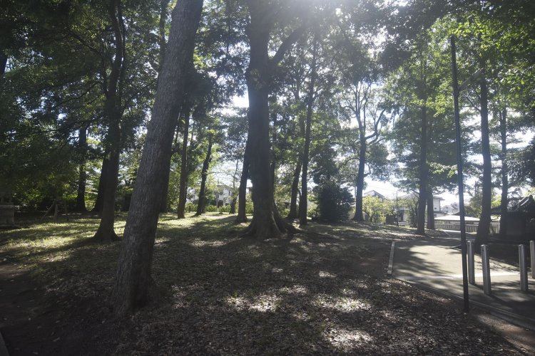 神社の裏手はかつて砦が置かれていた雰囲気が残る。