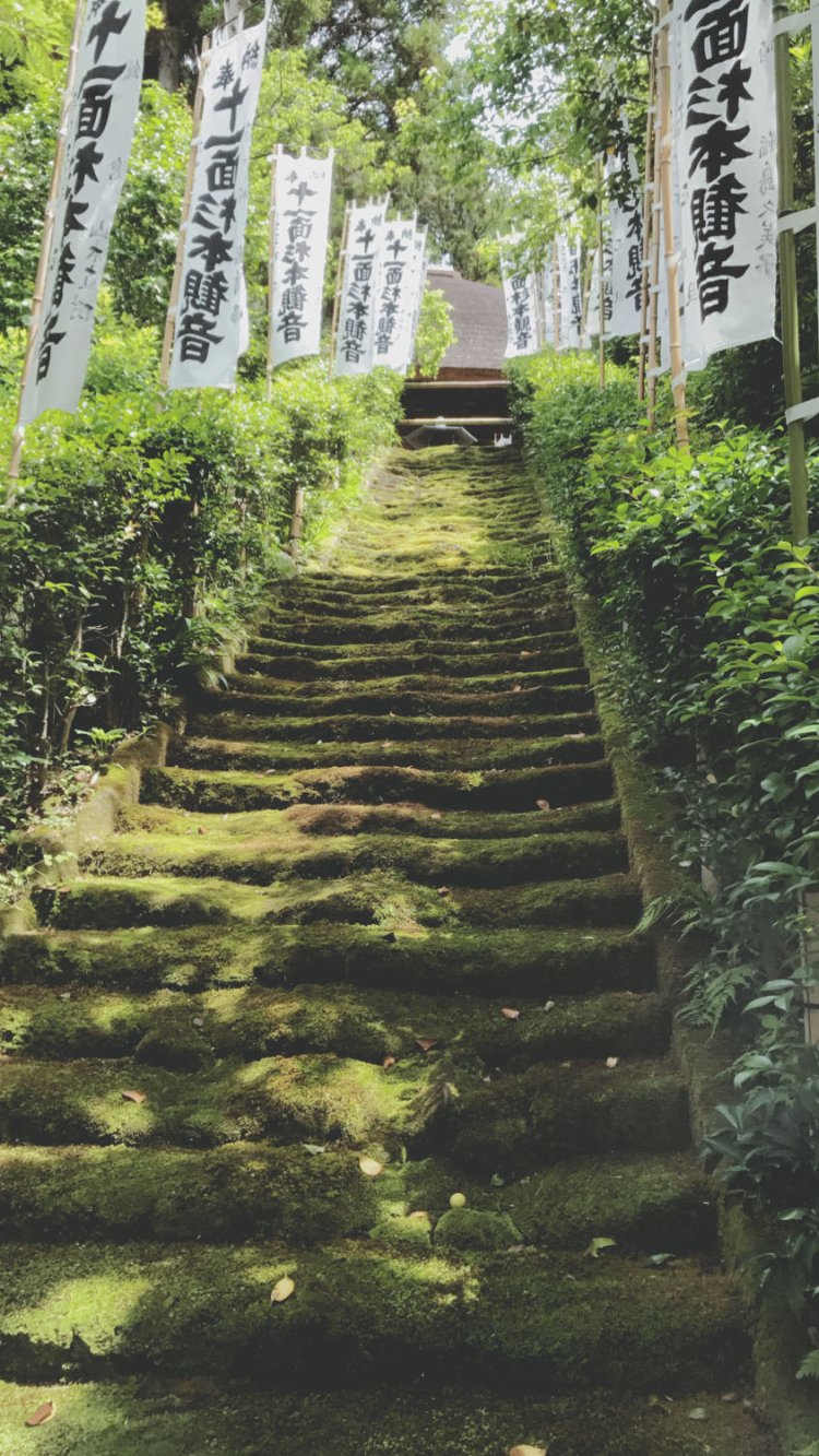 杉本寺の残る苔むした階段。今は歩行禁止で脇の石段を登る。
