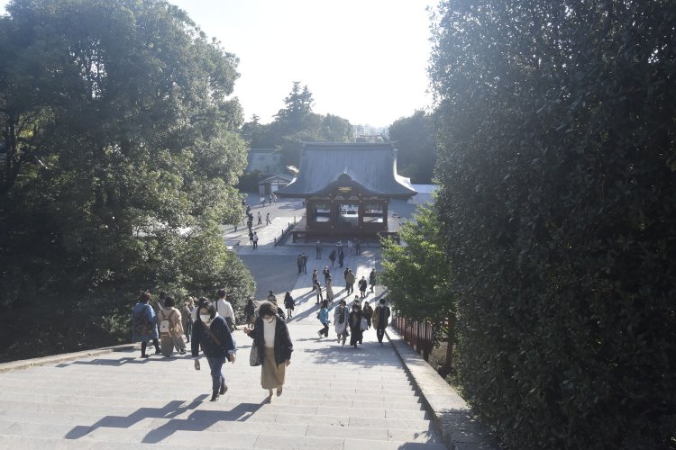鶴岡八幡宮から鎌倉市街方面を望む。空気が澄んだ日は海まで見渡せる。