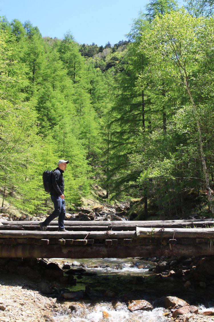 小屋までの道のりには橋も数カ所。ひんやりとした空気が心地いい。