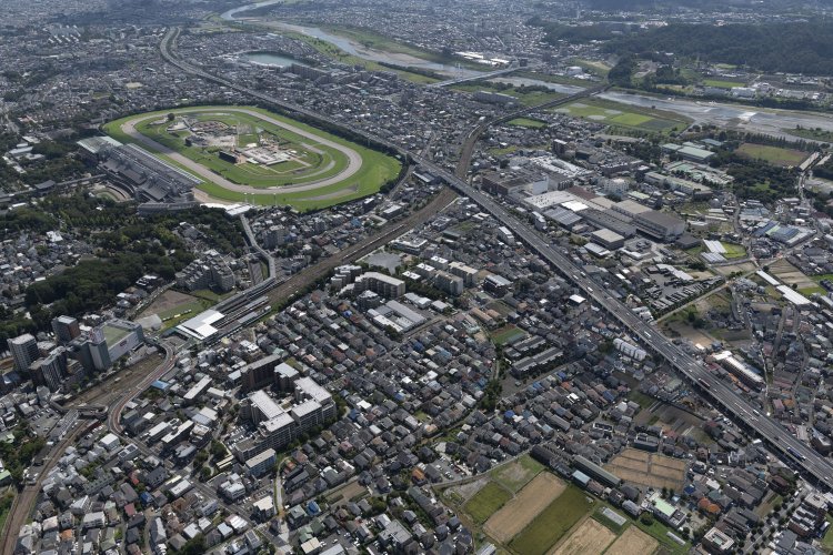 分岐箇所を引いて撮影した。先ほど紹介した米軍撮影航空写真を見ると分かるが、住宅地は田畑が広がる一帯であった。2024年9月13日撮影。