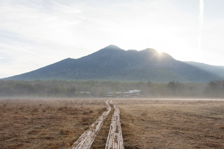 尾瀬ヶ原の見晴地区。燧ヶ岳（ひうちがたけ）から日が昇るとともに朝もやが晴れていく。