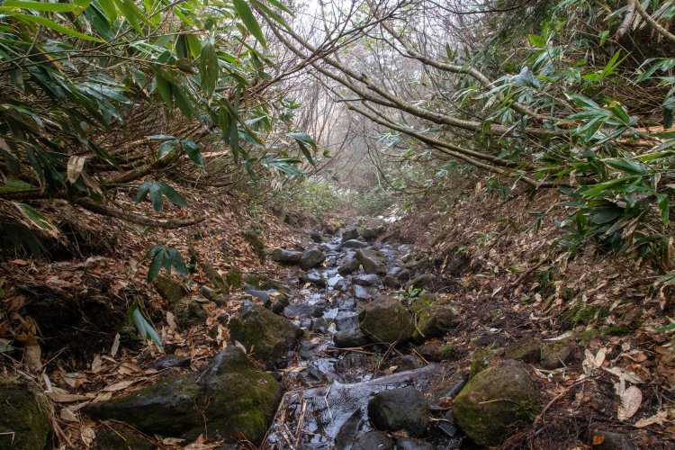 白砂田代～見晴間は一部木道がなく、岩場が続く箇所があるので要注意。