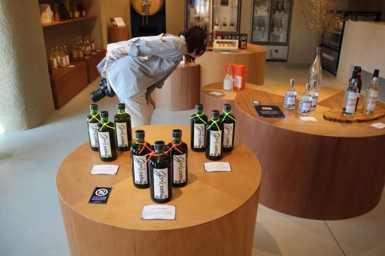 【camell】「SHINDO LAB STAND」