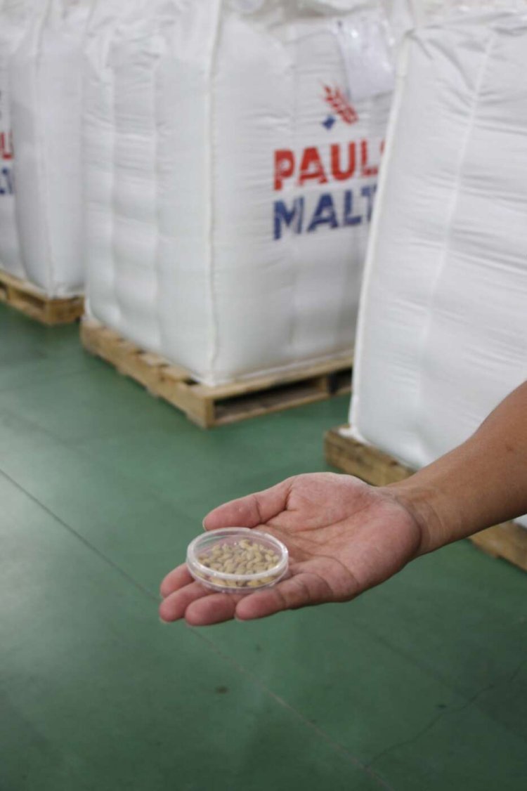 【camell】「SHINDO LAB STAND」