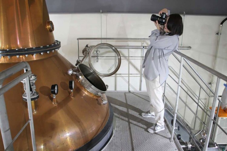 【camell】「SHINDO LAB STAND」