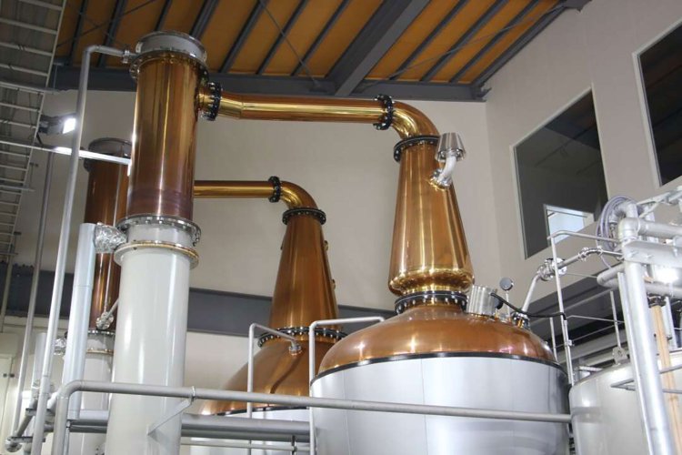 【camell】「SHINDO LAB STAND」