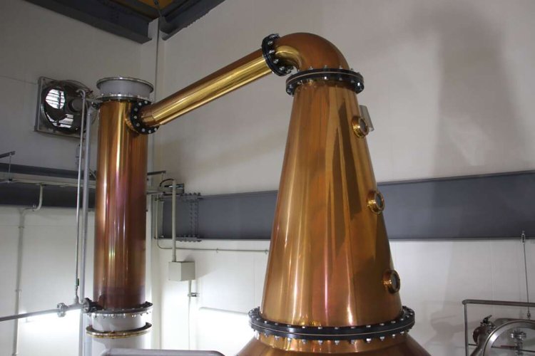 【camell】「SHINDO LAB STAND」