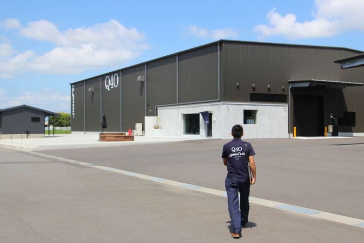 【camell】「SHINDO LAB STAND」