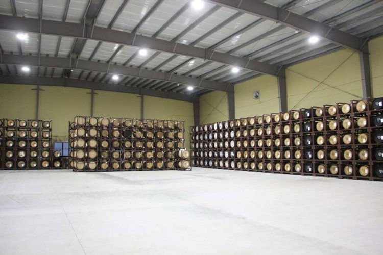 【camell】「SHINDO LAB STAND」