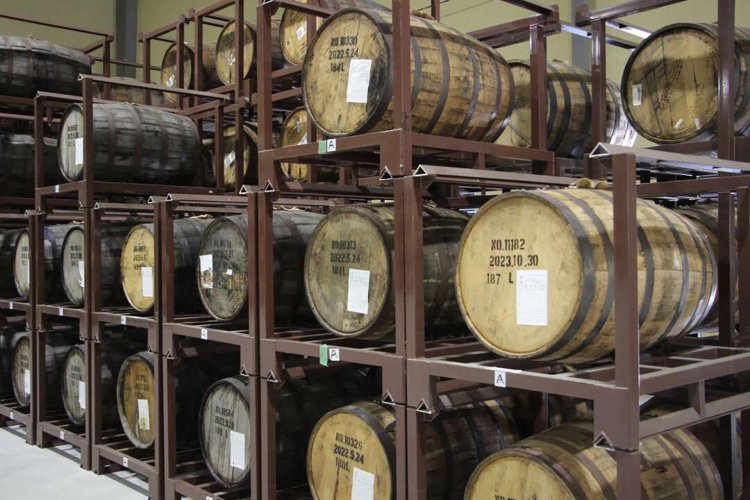 【camell】「SHINDO LAB STAND」