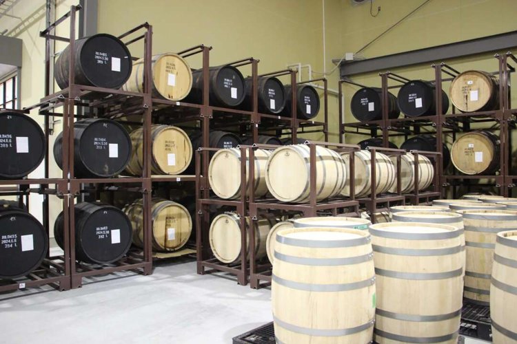 【camell】「SHINDO LAB STAND」