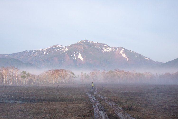 朝もやの尾瀬ヶ原。運がよければ太陽光が霧に反射して、白い虹のように見える「白虹（はっこう）」という現象も見られるそうだ。　