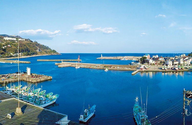 稲取漁港ではキンメダイや伊勢エビ、アワビなど豊富な魚介が獲れる。