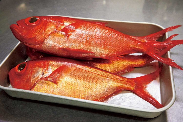 その日のお客さんに合わせて稲取キンメを仕入れる。ウロコを引き、冷蔵庫で6時間寝かせてから調理する。