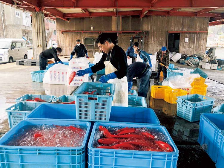 活気あふれる競り場。稲取漁港に市が立つのは、正午過ぎだ。