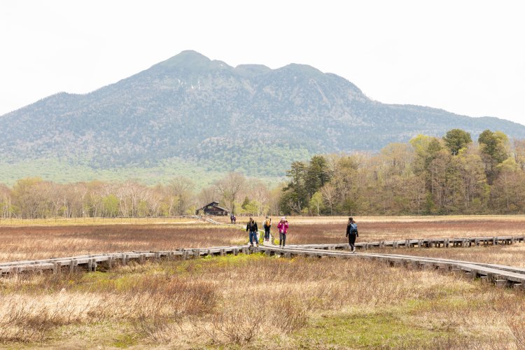竜宮では、吸い込まれた水が別の地表から湧く竜宮現象が見られる。