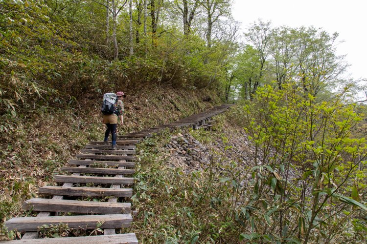 山ノ鼻から鳩待峠に向けての最後の登りもずっと木道だ。