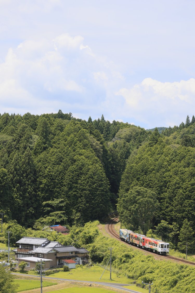 里山の中を列車はのんびりと走っていく。阿木（あぎ）～飯羽間（いいばま）間。
