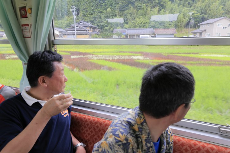 山岡～野志（のし）間では、田んぼdeアート（例年6～8月に開催）のそばを走る。