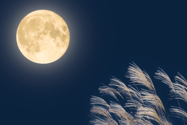 お月見散歩の後は、秋の味覚を思いっきり堪能したい。