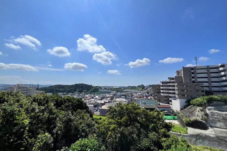 歩道橋からの景色。写真中央より少し右寄りが真南くらい。