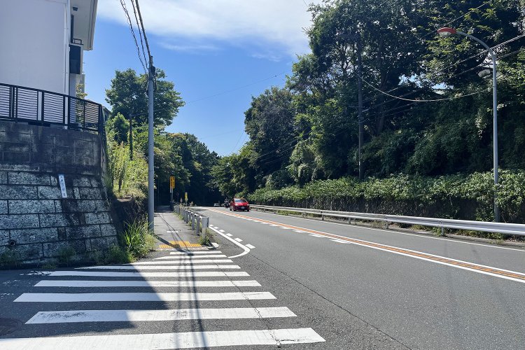 道の先が……み、見えない……。