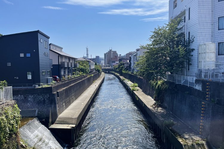 藤沢橋から境川の下流方面を望む。川はそのまま南下して、江の島の脇で相模湾に注ぐ。