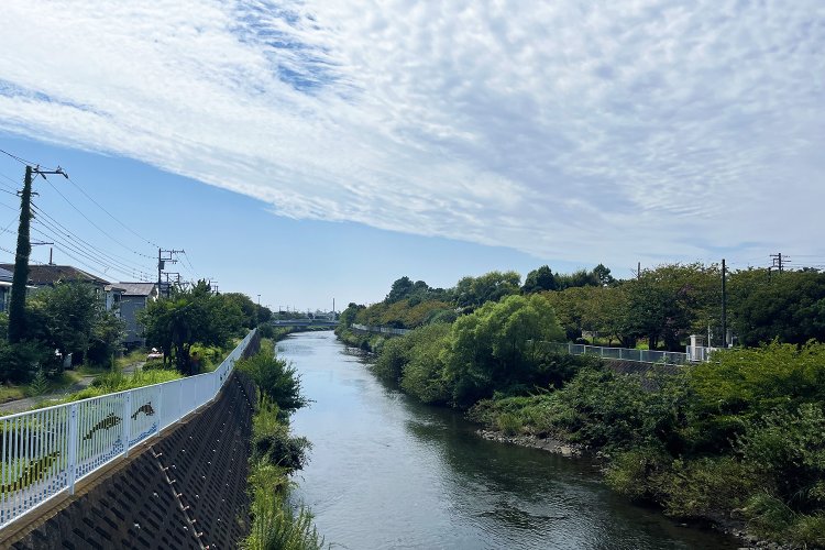 引地川の下流方面。どことなく海を感じるような、感じないような。