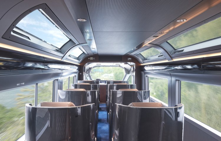 1号車のプレミアムグリーンは前面展望。天窓からも日差しが降り注ぎ、伊豆の自然との一体感が抜群。