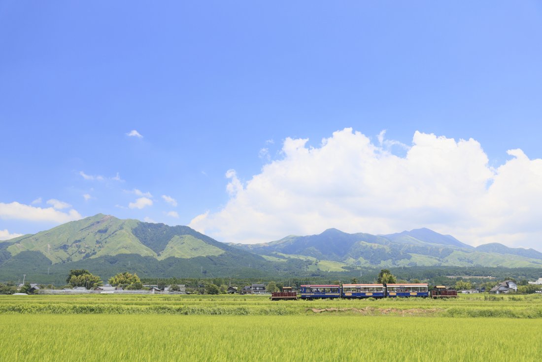 【観光列車、どれに乗る？】鉄道の達人・山﨑友也がおすすめ！阿蘇の大地を力強く踏みしめる「トロッコ列車 ゆうすげ号」