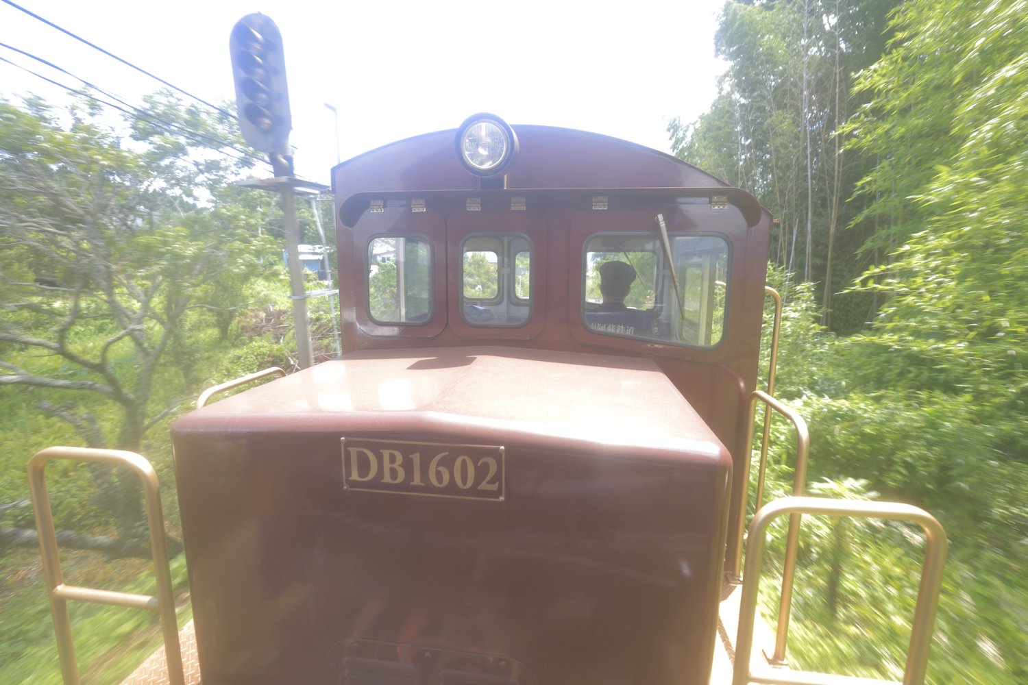 牽引するのは茶色くてかわいいDB16形のディーゼル機関車。