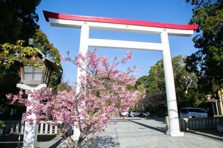 赤と白の配色が珍しい大鳥居。