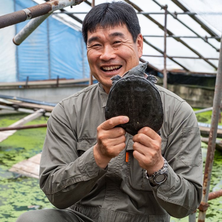 「定期的に水を入れ替え、病気にかかりにくいすっぽんを育てています」と話す瀬戸雅輝さん。