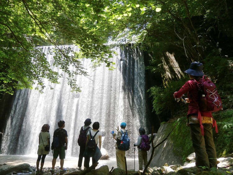 参加は事前予約制（有料）で各回定員制になる（写真提供＝山北町森林セラピー運営協議会）。