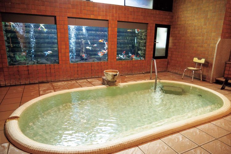 水槽に庄内金魚などが泳ぐ『九兵衛旅館』の「川の湯」。