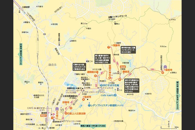 スクリーンショット 2024-11-11 162754 のコピー