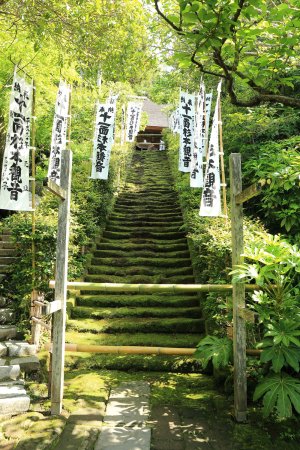 杉本寺