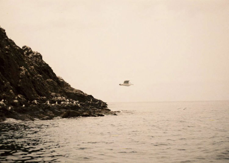 【camell】「LomoChrome Color ’92 Sun-kissed」レビュー