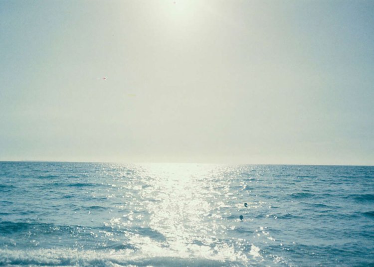 【camell】「LomoChrome Color ’92 Sun-kissed」レビュー