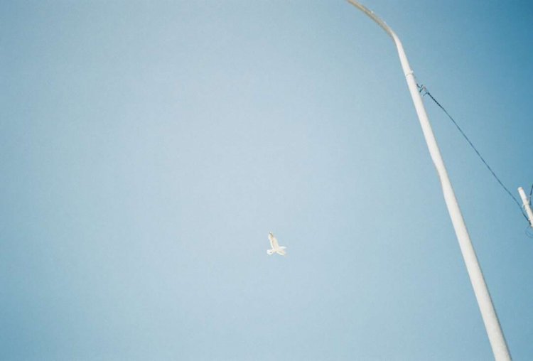 （比較用・PORTRA400）。